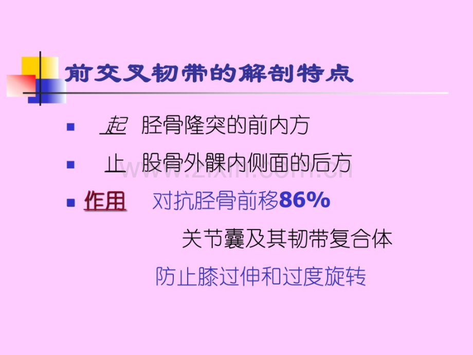 [指南]交叉韧带重建后康复上海六院康复科计划.ppt_第2页