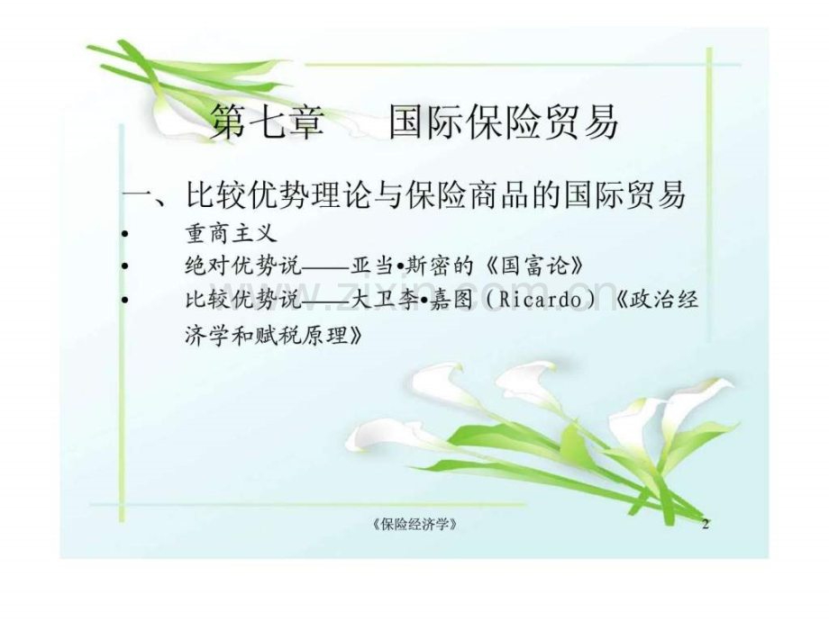 《保险经济学》-第六讲-国际保险贸易经济福利分析.ppt_第2页