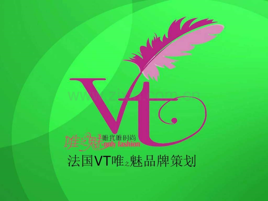 vt品牌策划1完成.ppt_第1页