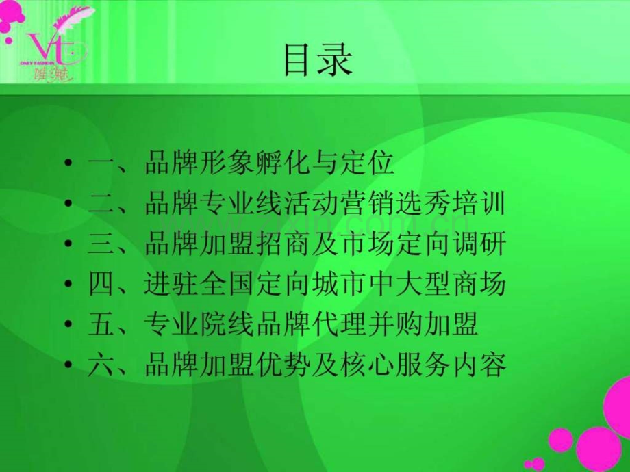 vt品牌策划1完成.ppt_第2页