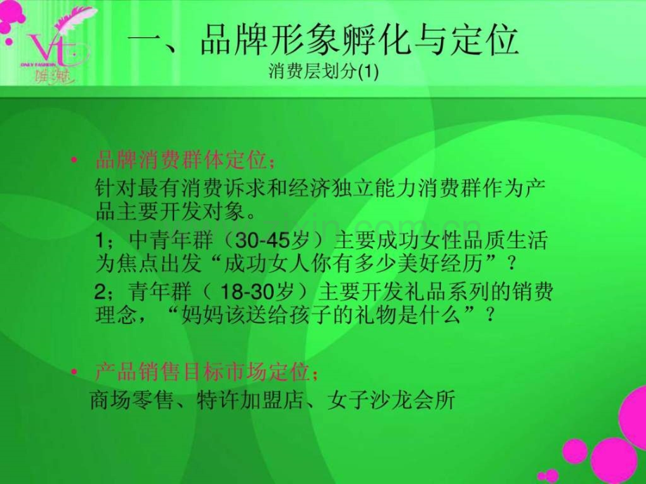 vt品牌策划1完成.ppt_第3页