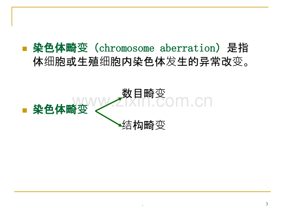 染色体畸变课件.ppt_第3页