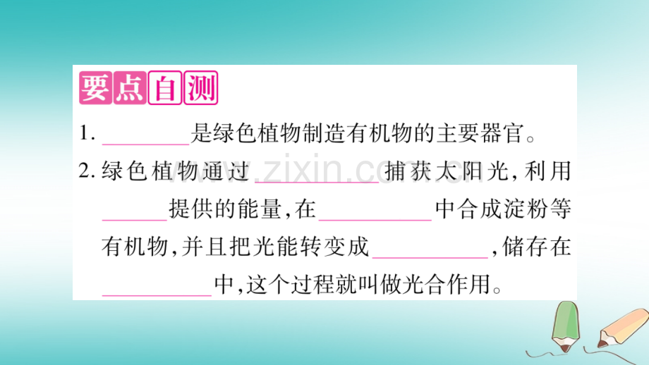 2018秋七年级生物上册-第3单元-第4章-绿色植物是生物圈中有机物的制造者第2课时习题优质新人教版.ppt_第3页