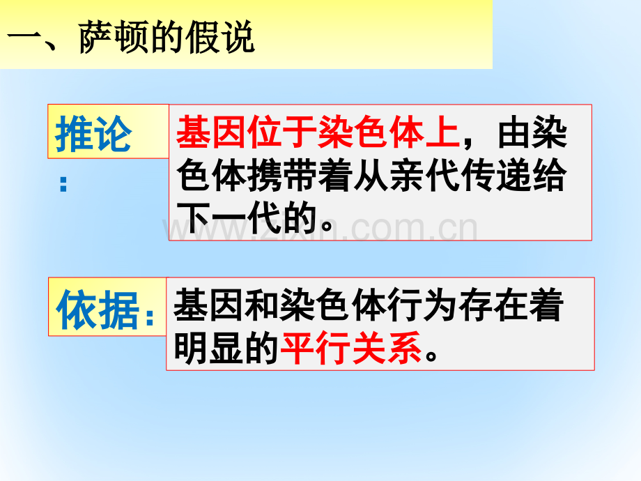 高中生物-第二章-基因和染色体的关系-2.2.1-基因在染色体上教学-新人教版必修2.ppt_第3页