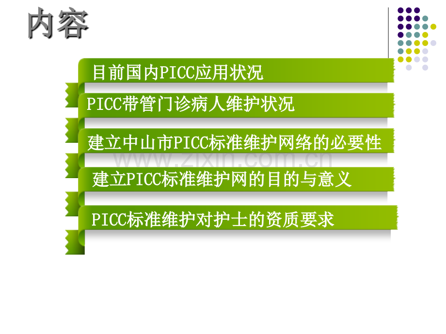 建立区域性PICC标准维护网目与意义中山市人民医院陈.ppt_第2页