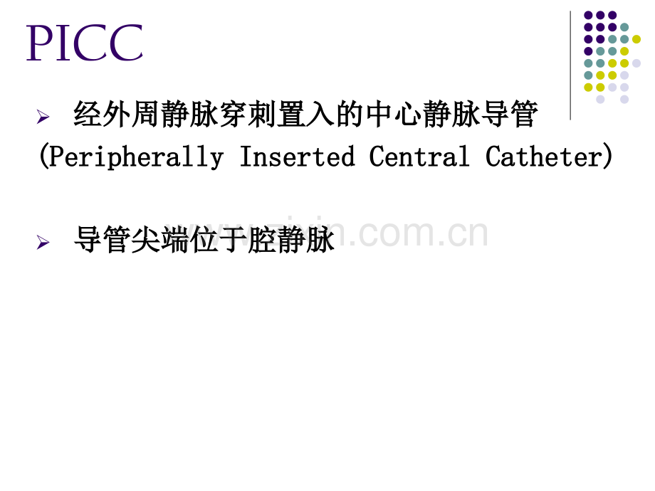 建立区域性PICC标准维护网目与意义中山市人民医院陈.ppt_第3页