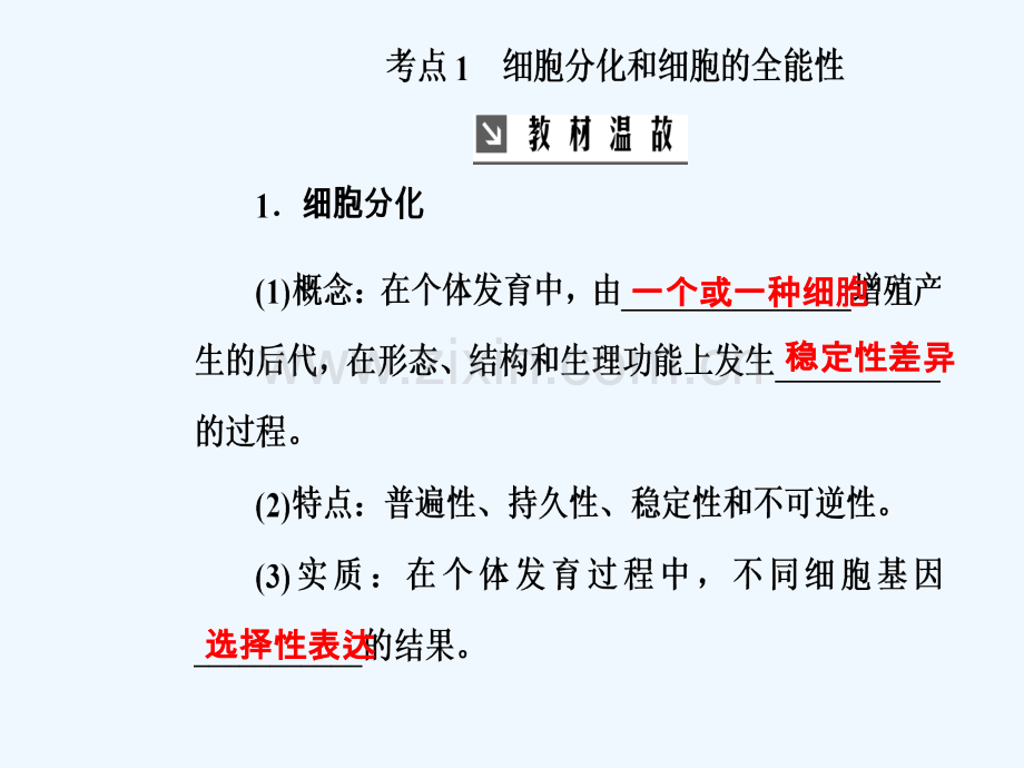 2019版高考生物总复习-第四单元-细胞的生命历程-第3讲-细胞的分化、衰老、凋亡和癌变.ppt_第3页