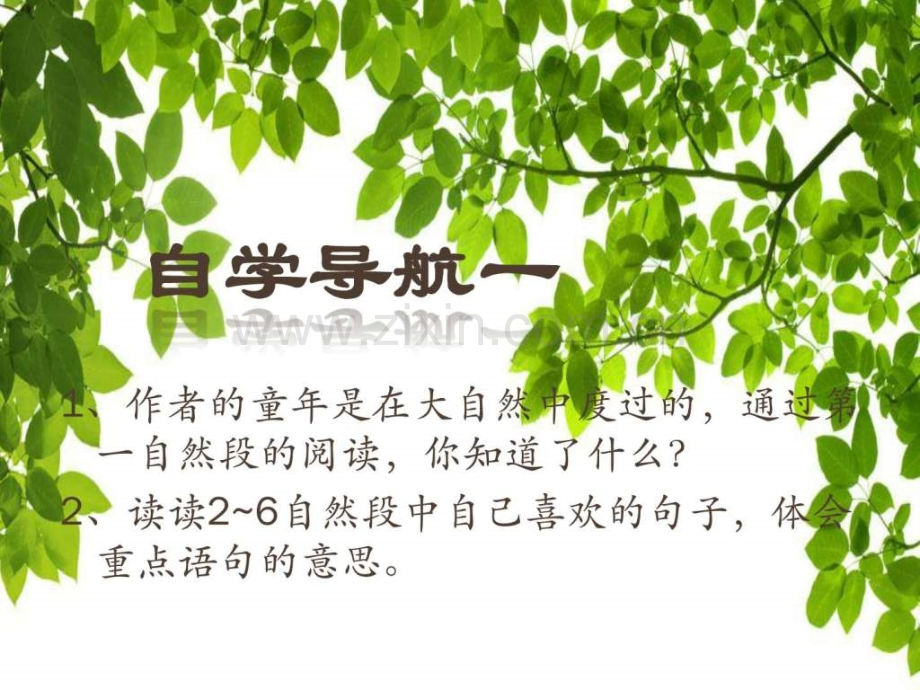 《绿叶梦》第二课时语文小学教育教育专区.ppt_第3页