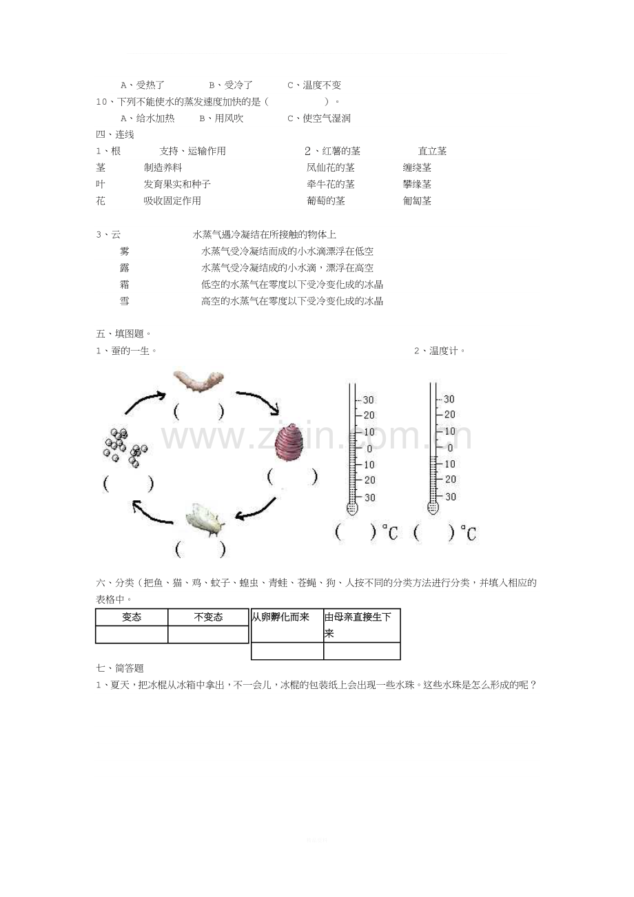 教科版科学三年级下册期末试卷.doc_第2页