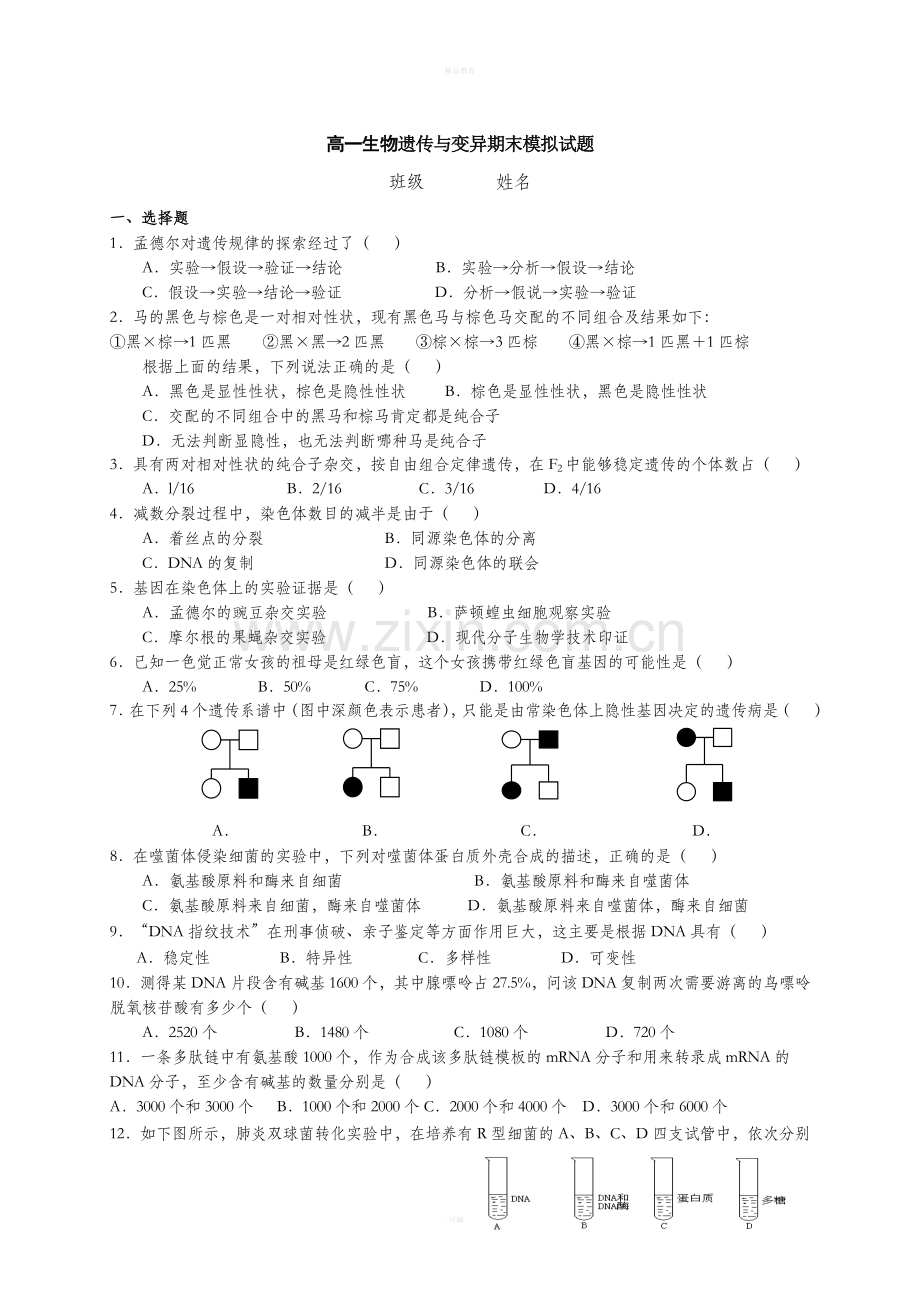 高中生物必修二期末试题及答案.doc_第1页