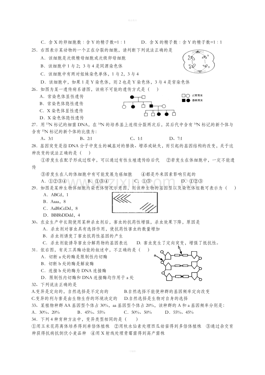 高中生物必修二期末试题及答案.doc_第3页