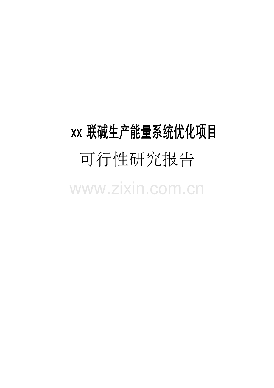 某联碱生产能量系统优化项目申请立项可行性研究报告.doc_第1页