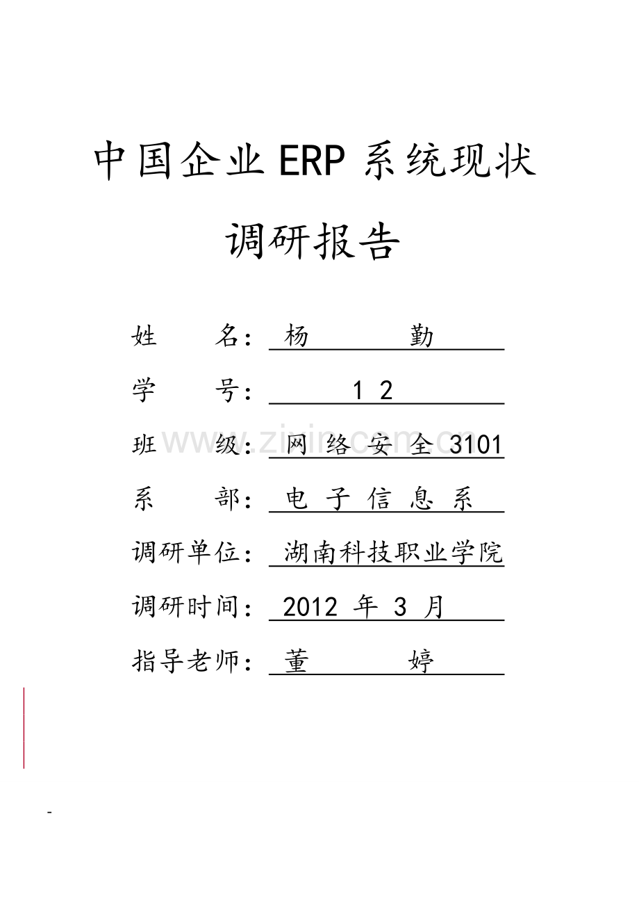 论文国内erp系统现状调查报告.doc_第1页