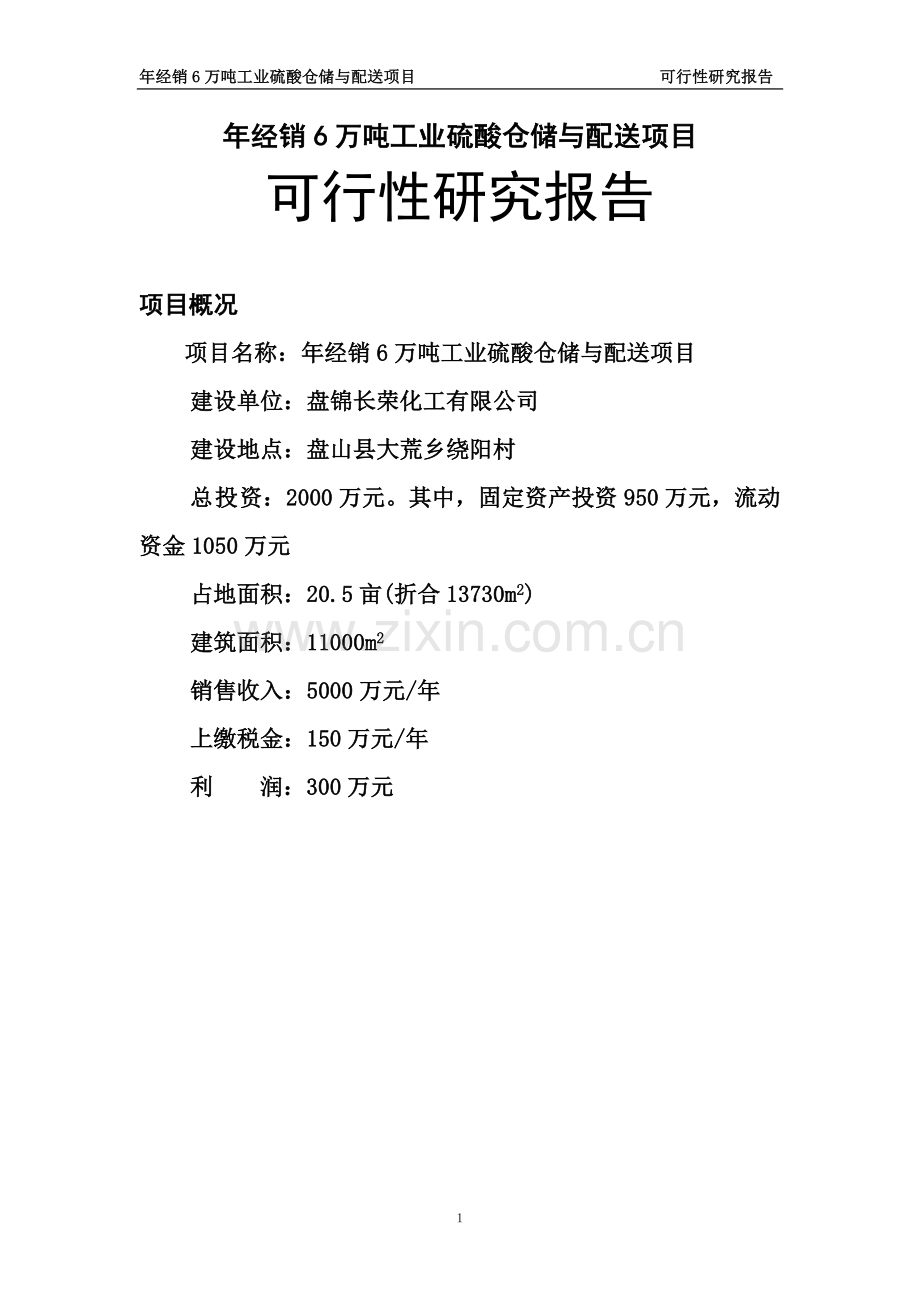 年经销6万吨工业硫酸仓储与配送项目可行性研究报告.doc_第1页