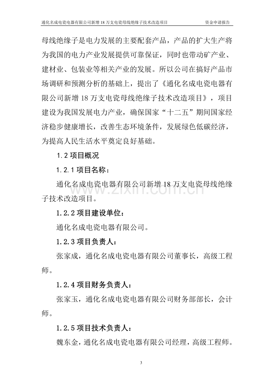 新增18万支电瓷母线绝缘子技术改造项目投资可行性研究报告.doc_第3页