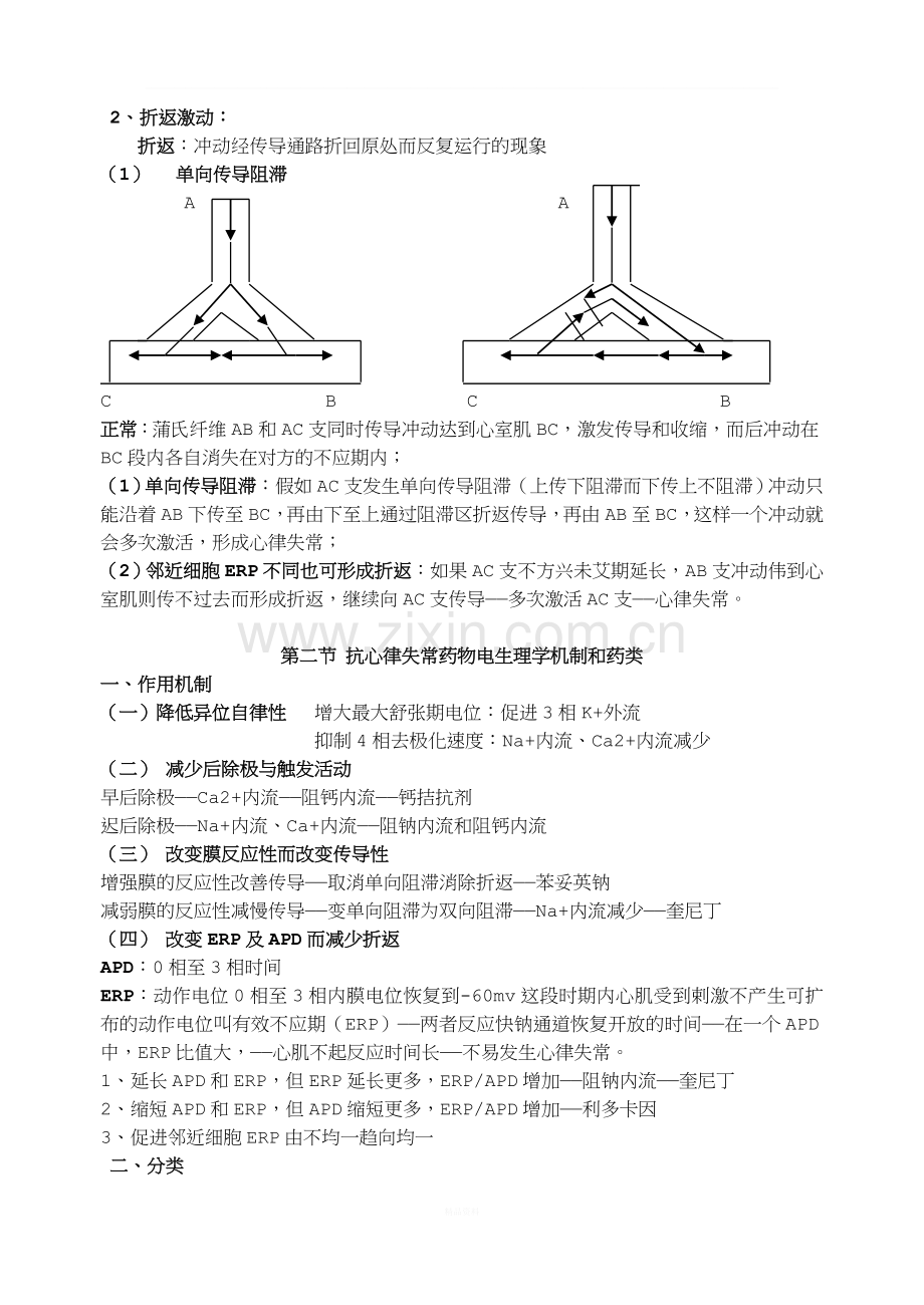 药理学讲稿之第十九章-抗心律失常药.doc_第3页