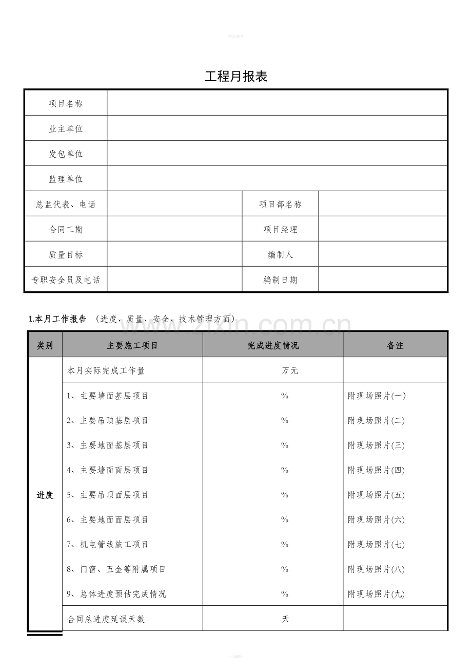 项目月报表格式.doc_第1页