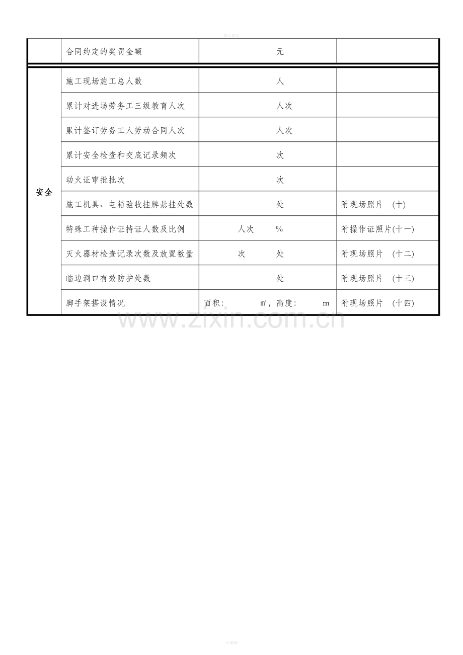 项目月报表格式.doc_第2页