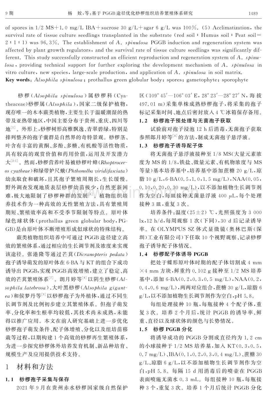 基于PGGB途径优化桫椤组织培养繁殖体系研究.pdf_第2页