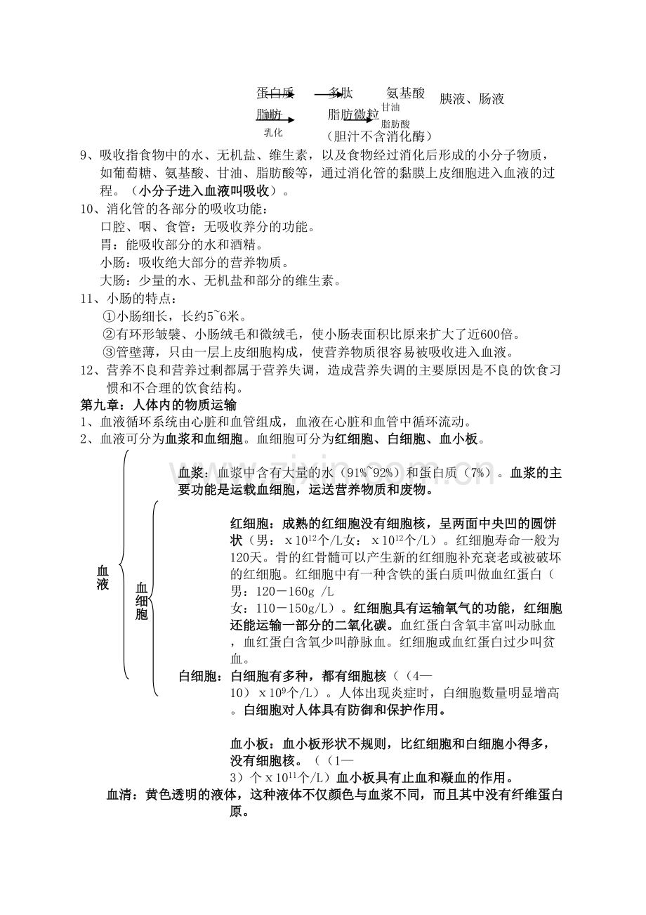 北师大版七年级下册生物复习提纲.docx_第3页