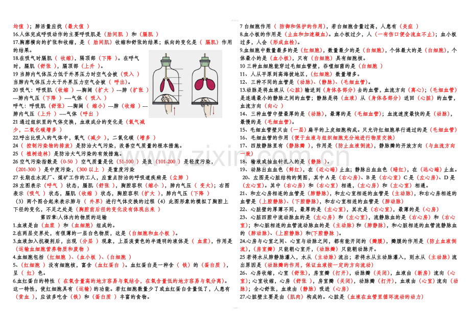 七下生物知识点.doc_第2页