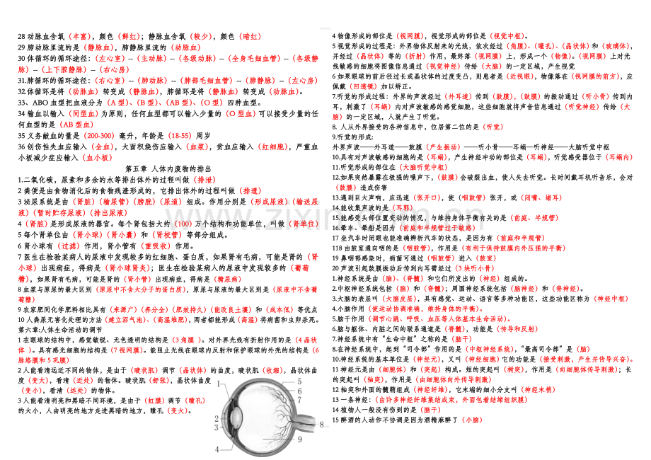 七下生物知识点.doc_第3页