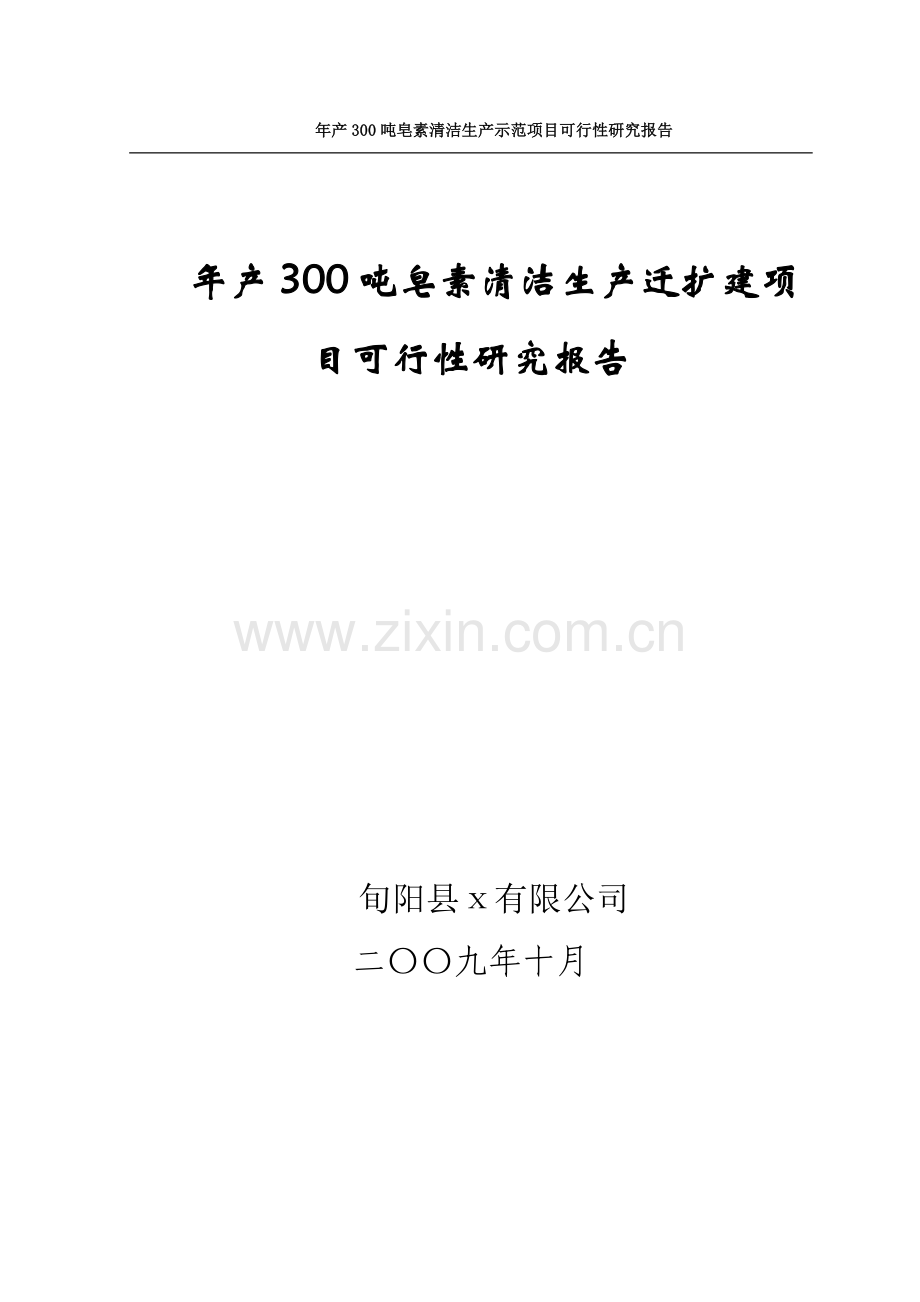 年产300吨皂素清洁生产迁扩建项目可行投资可行性研究报告.doc_第1页