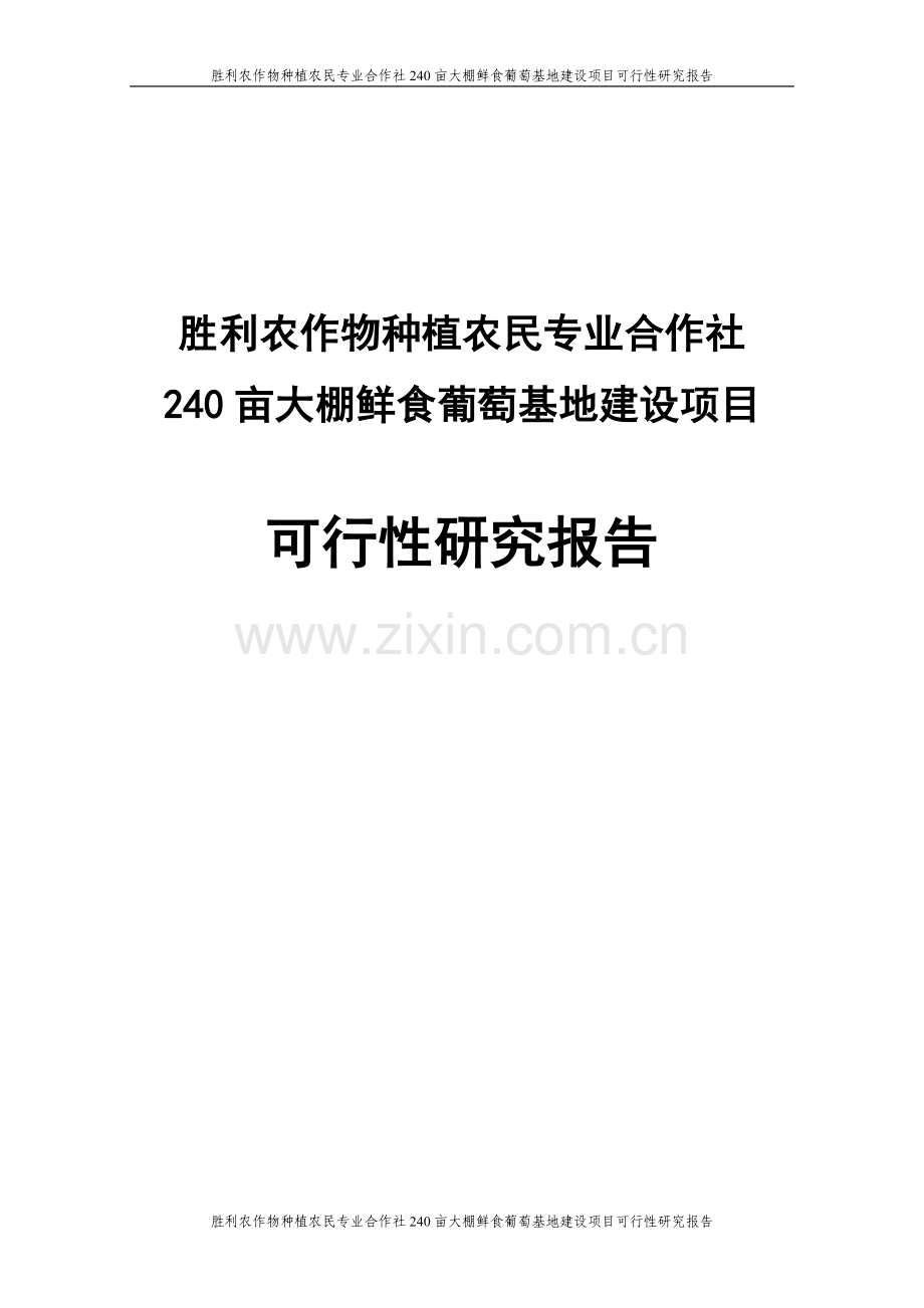 胜利农作物种植农民专业合作社240亩大棚鲜食葡萄基地项目建设可行性研究报告.doc_第1页