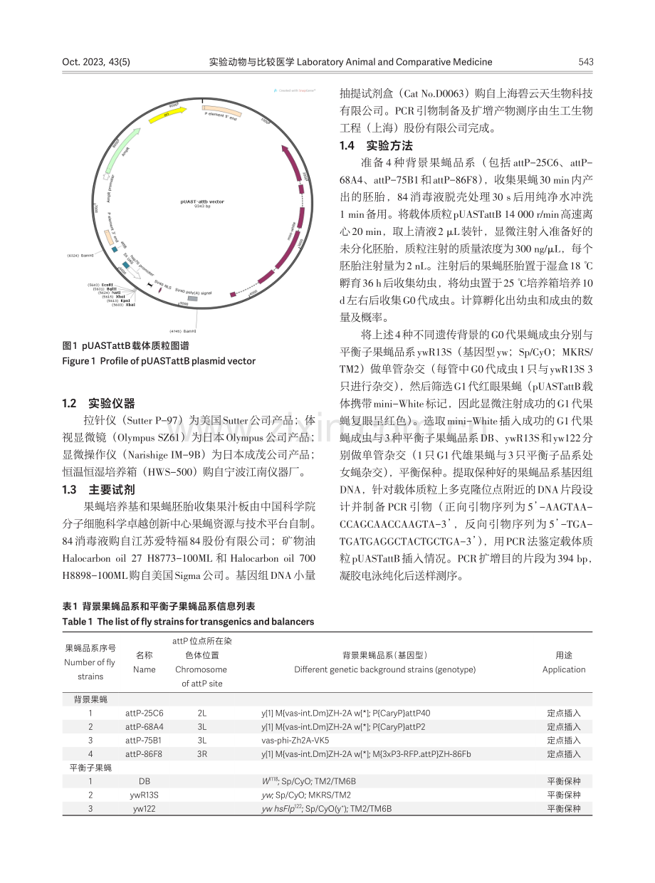 基于ΦC31整合酶和载体质粒pUASTattB的12株果蝇转基因阴性对照品系的建立.pdf_第3页