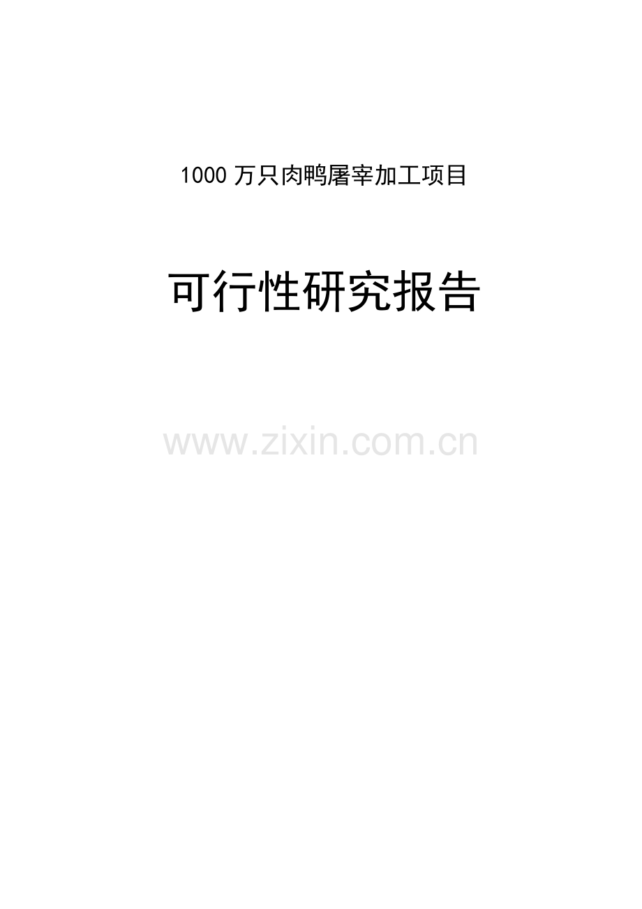 1000万只肉鸭加工项目建设投资可行性研究报告.doc_第1页