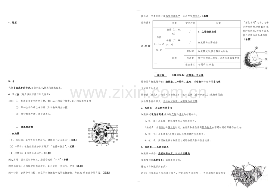 高中生物会考复习提纲.doc_第3页