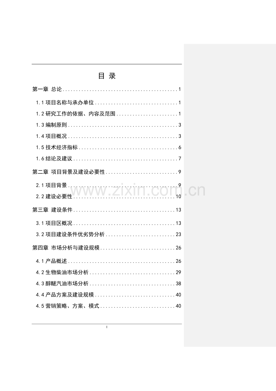 年产13万吨生物燃油生产线项目可行性研究报告.doc_第1页