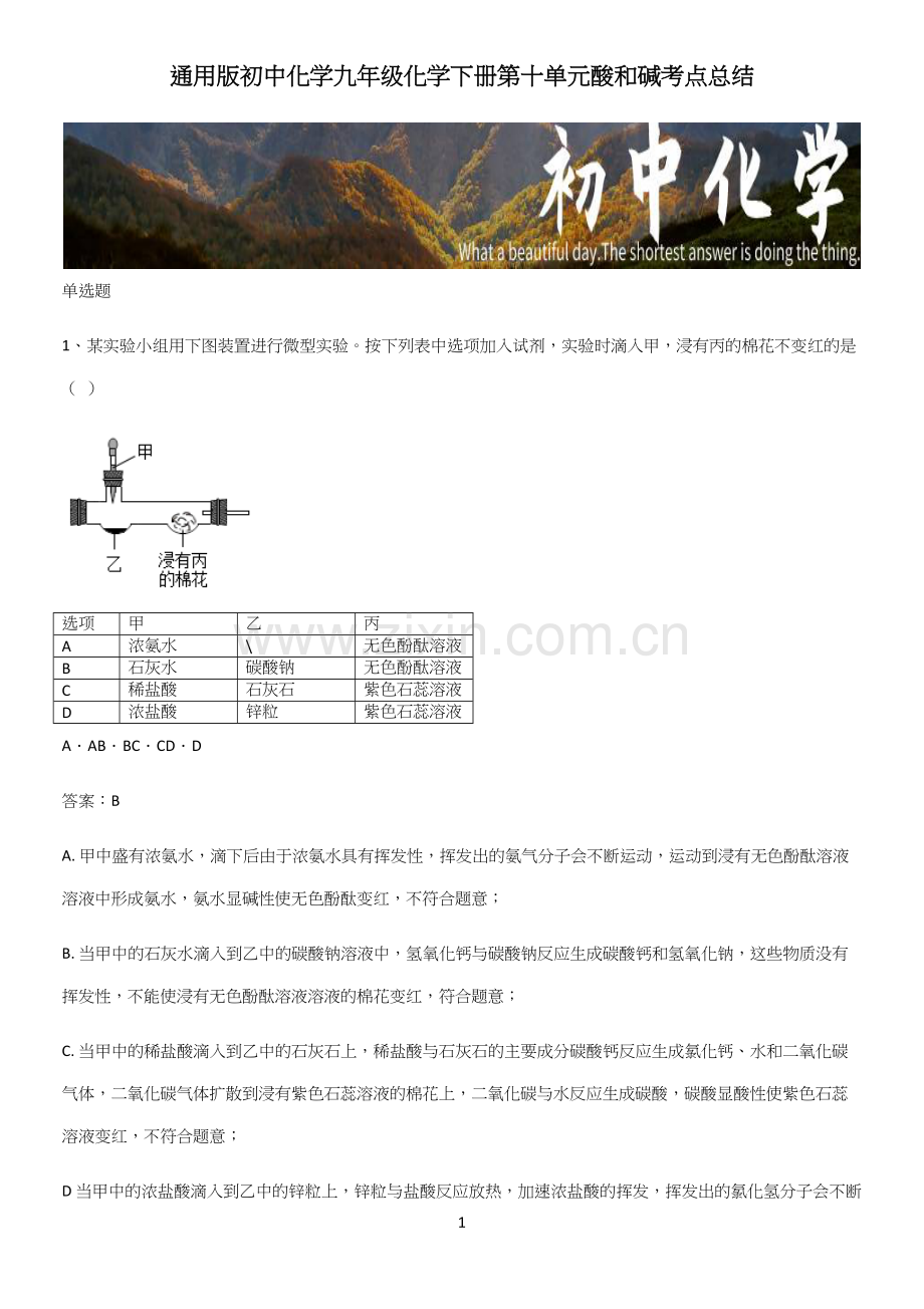 初中化学九年级化学下册第十单元酸和碱考点总结.docx_第1页