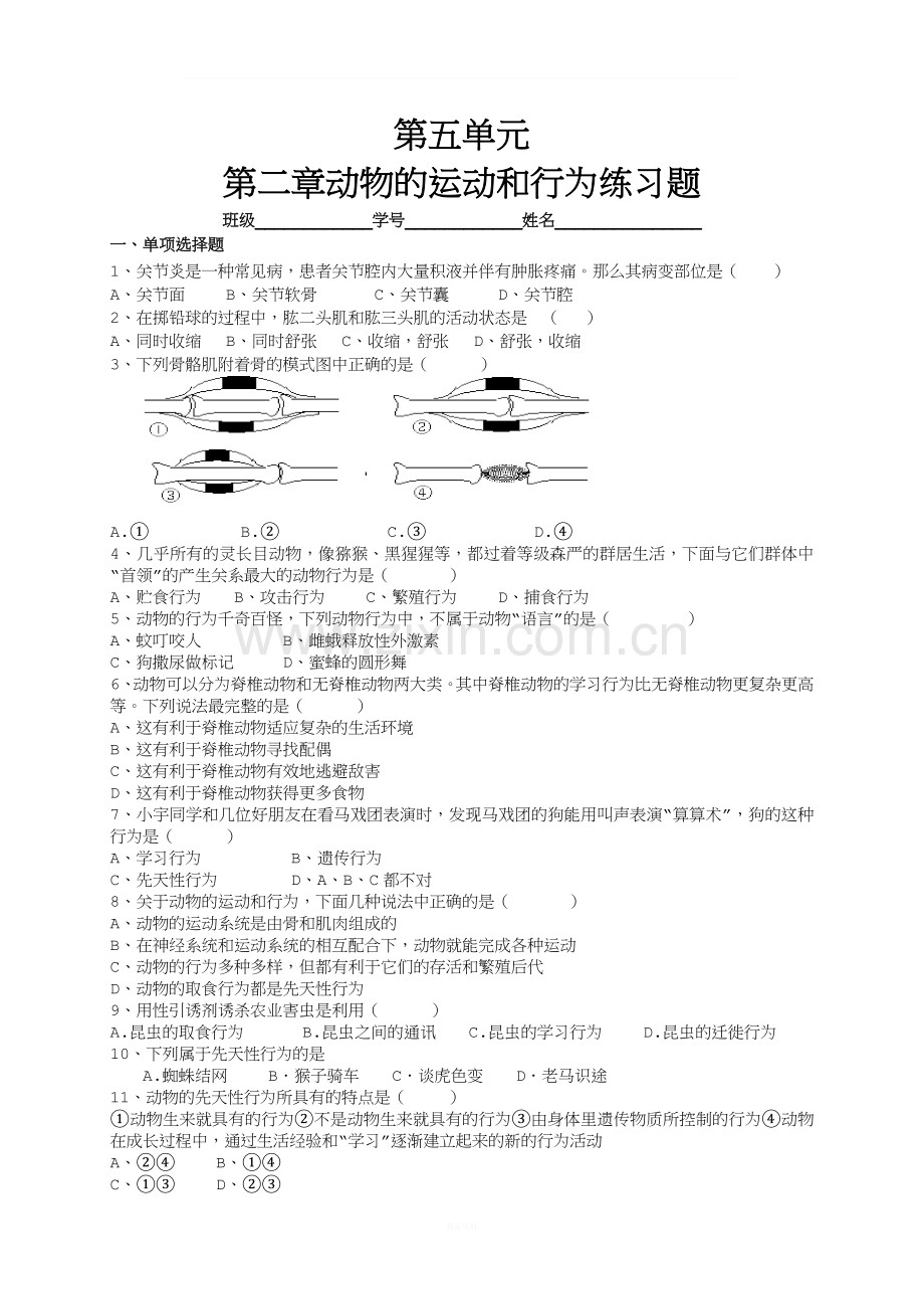 第二章动物的运动练习题.doc_第1页