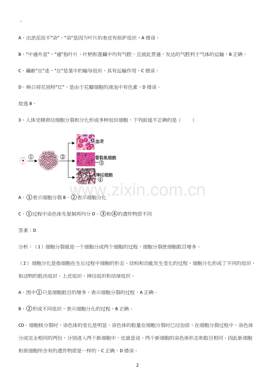 人教版2023初中生物七年级上册第二单元生物体的结构层次考点精题训练.docx_第2页