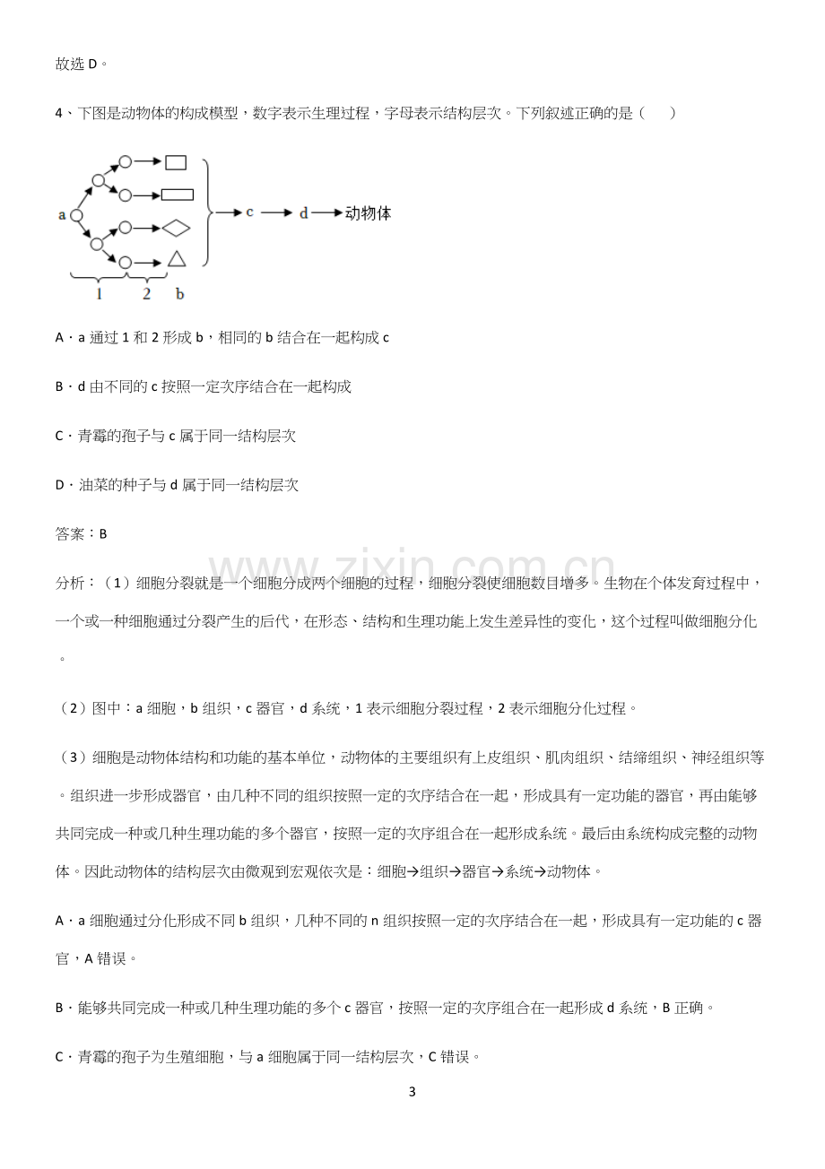 人教版2023初中生物七年级上册第二单元生物体的结构层次考点精题训练.docx_第3页