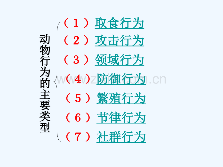 八年级生物上册-16.2《动物行为的主要类型》3-(新版)北师大版.ppt_第2页