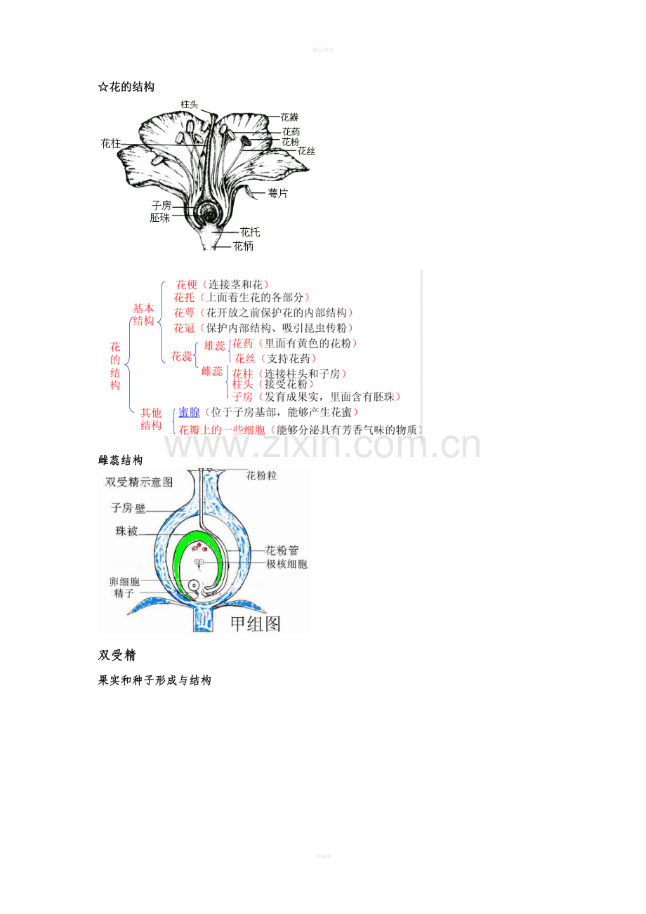 高中生物必修二第一章知识点总结.doc_第1页