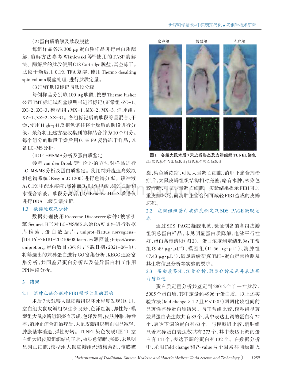 基于TMT蛋白组学探讨消肿止痛合剂治疗皮瓣缺血再灌注损伤的作用机制.pdf_第3页