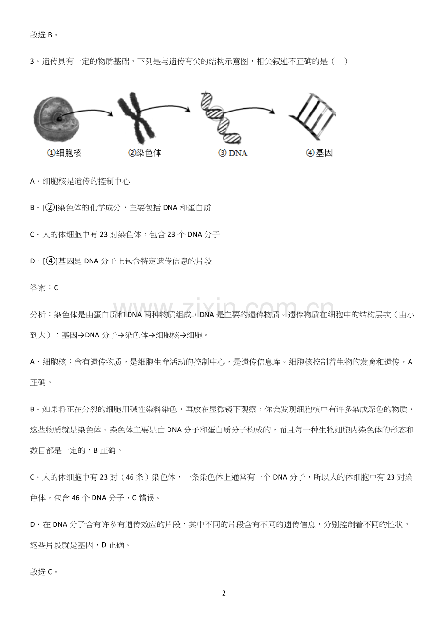 人教版2023初中生物八年级下册第七单元生物圈中生命的延续和发展高频考点知识梳理.docx_第2页