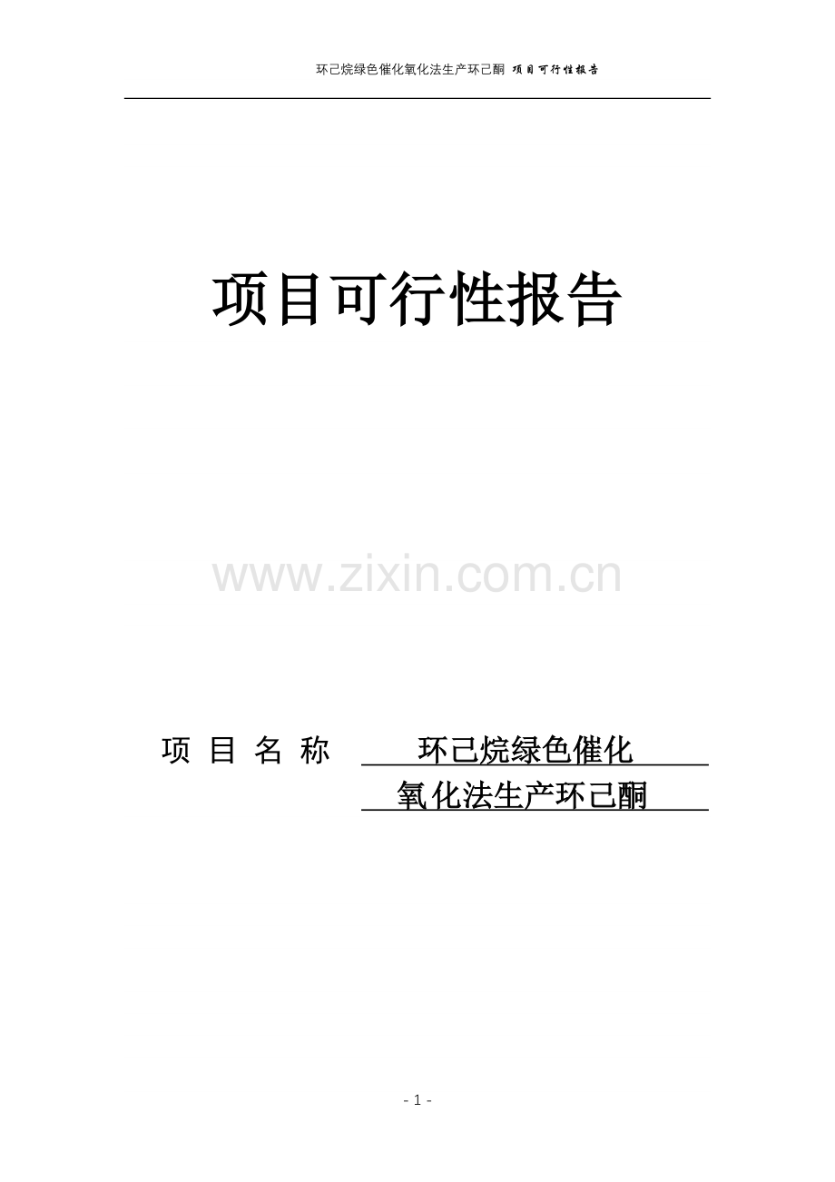 化氧化法生产环己酮项目可行性研究报告.doc_第1页