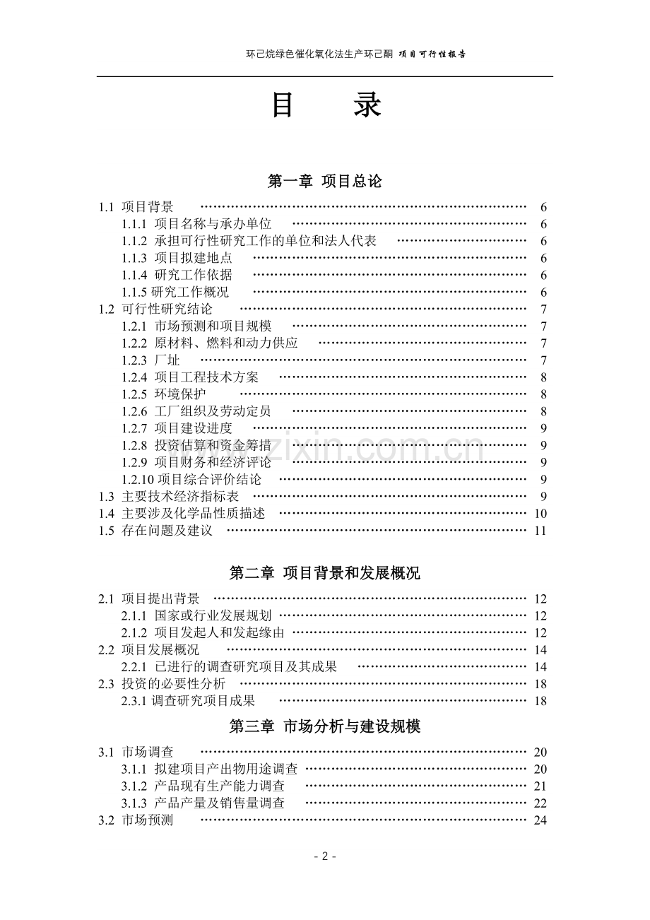 化氧化法生产环己酮项目可行性研究报告.doc_第2页