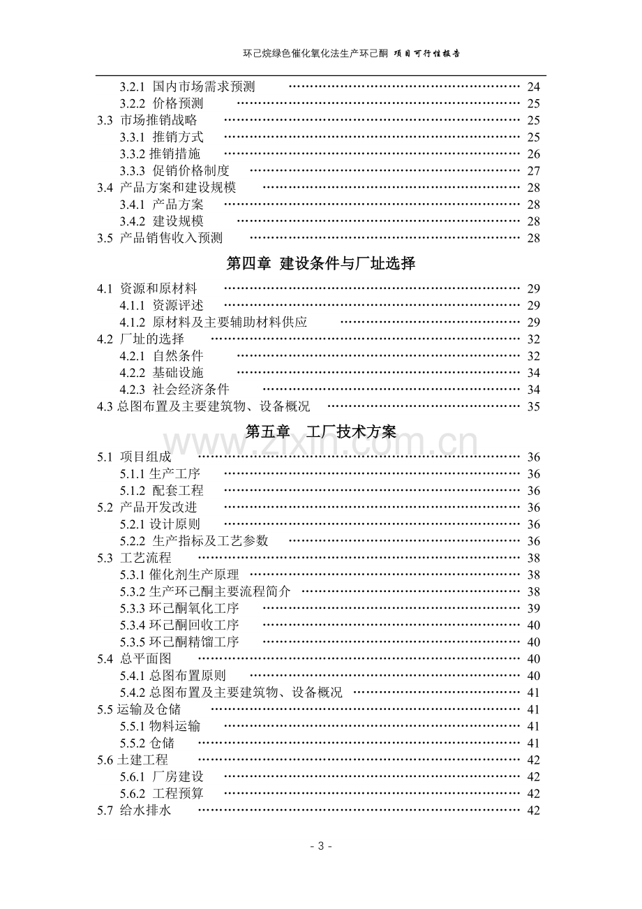 化氧化法生产环己酮项目可行性研究报告.doc_第3页