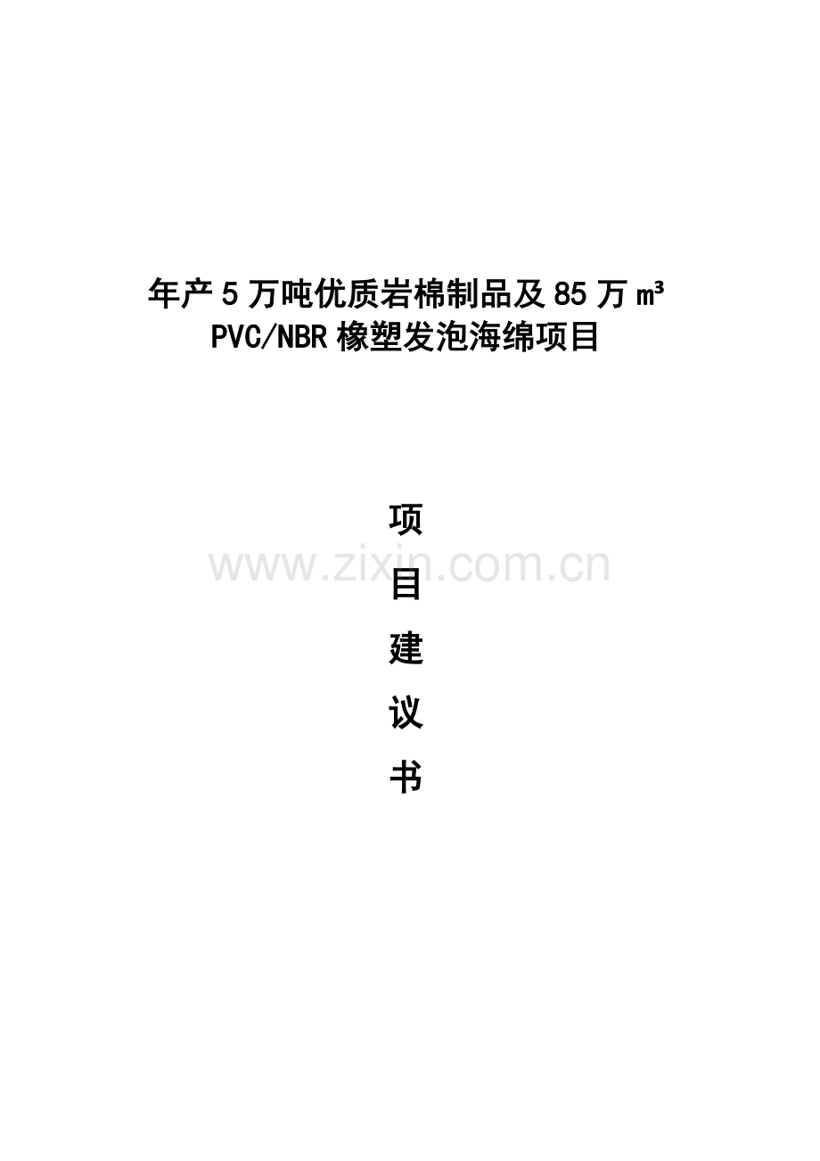 年产5万吨优质岩棉制品及85万立方米PVCNBR橡塑发泡海绵项目可行性研究报告.docx_第1页