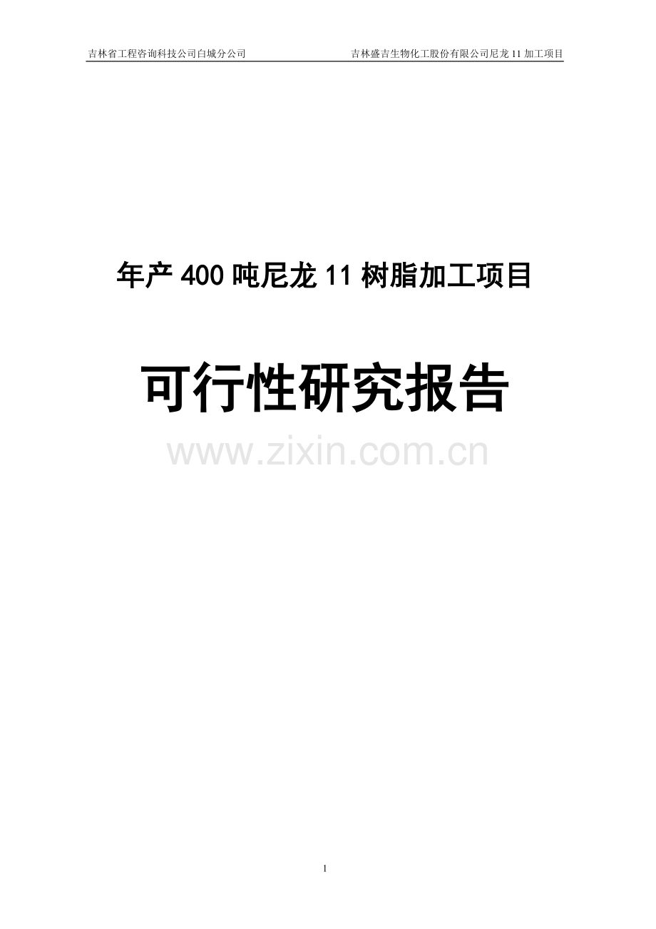 年产400吨尼龙11树脂加工项目可行性研究报告.doc_第1页