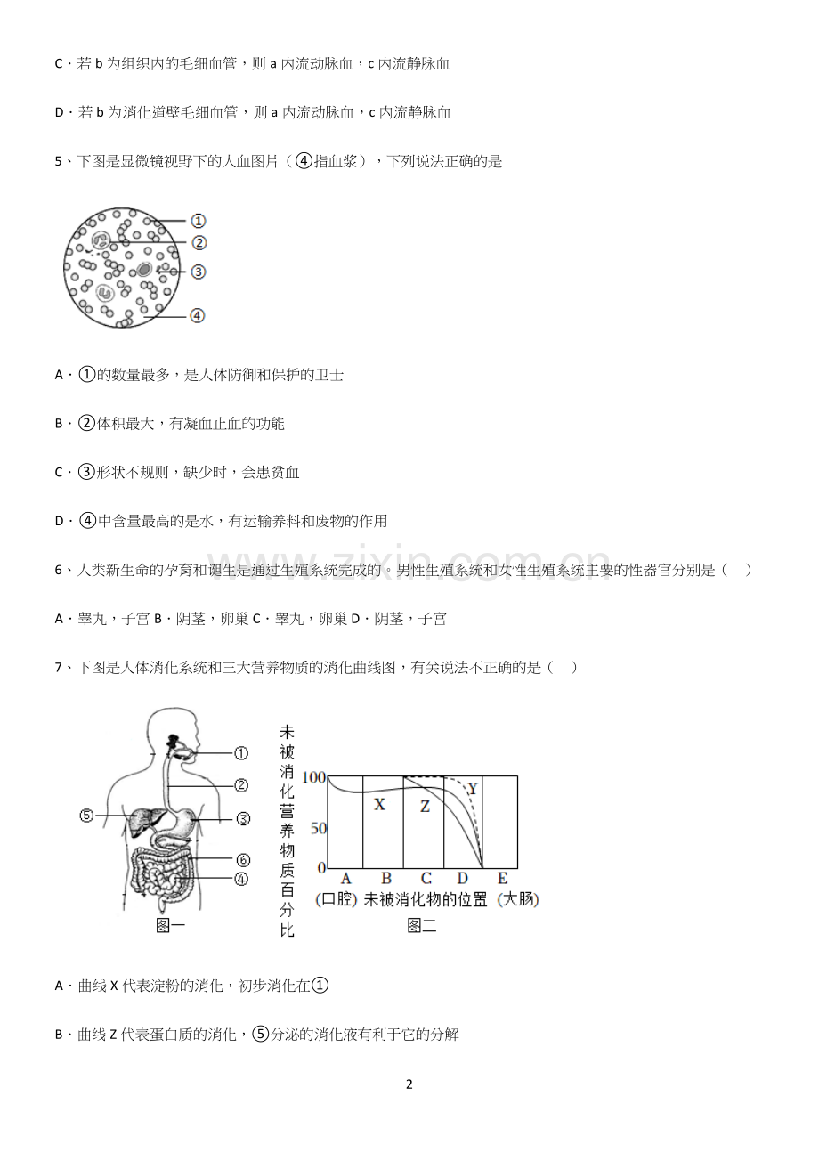 初中生物七年级下册第四单元生物圈中的人知识点归纳总结.docx_第2页