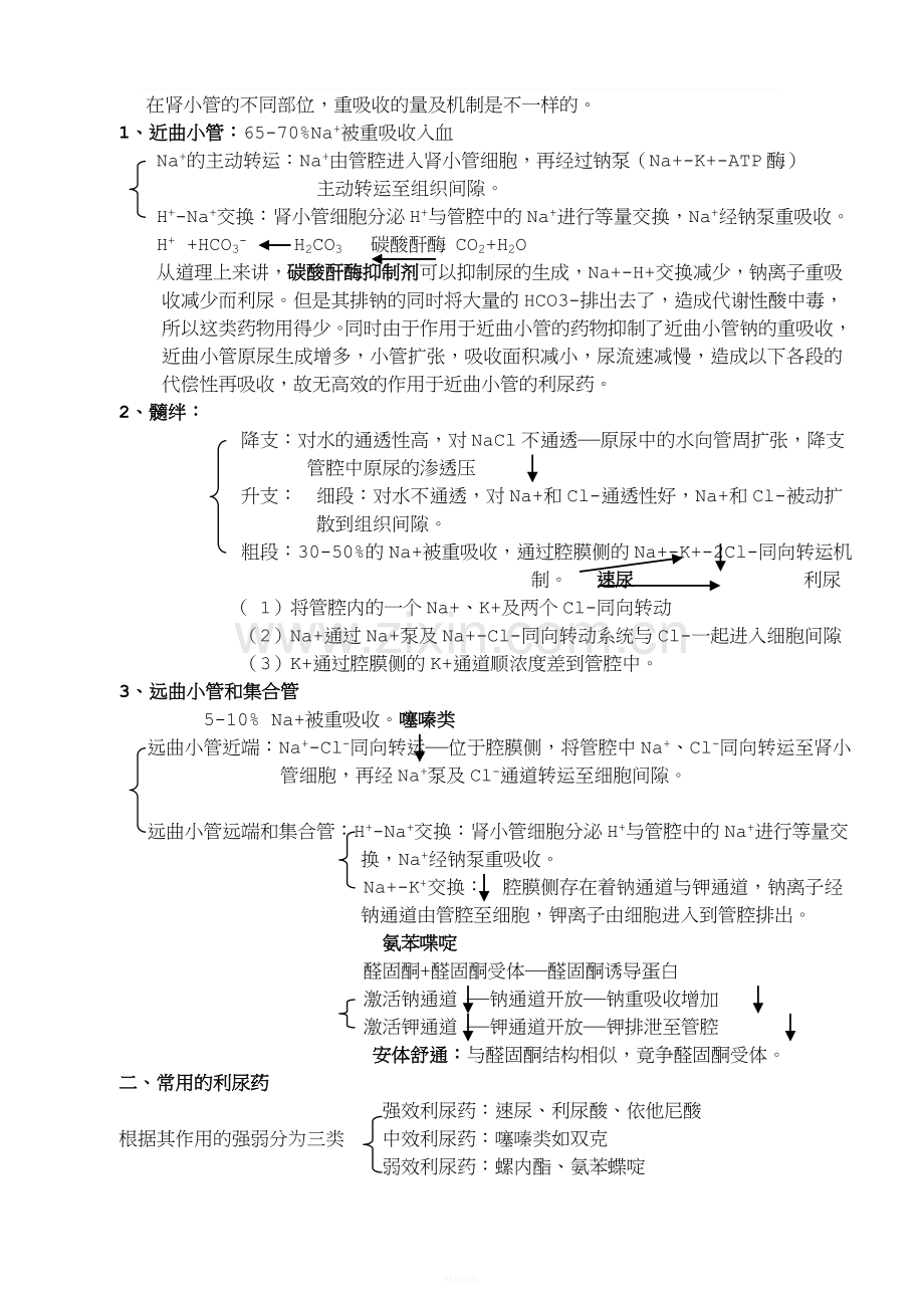 药理学讲稿之第二十三章-利尿药和脱水药.doc_第2页