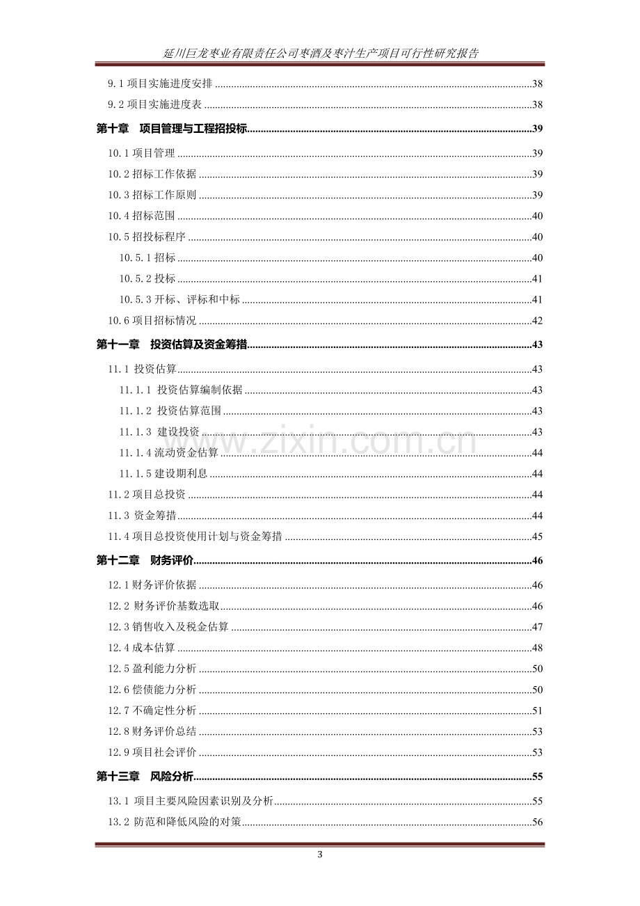 延川巨龙枣业有限责任公司枣酒及枣汁生产项目投资可行性研究报告.doc_第3页