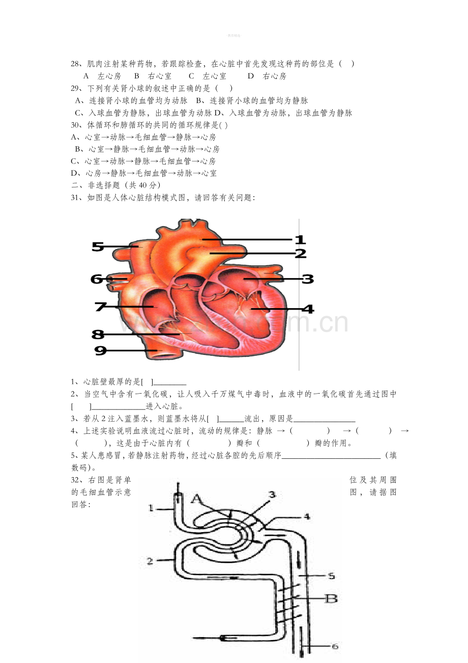 七下生物-心脏专题.doc_第3页