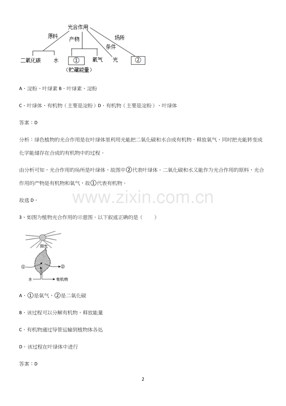 人教版2023初中生物七年级上册第三单元生物圈中的绿色植物易错题集锦.docx_第2页